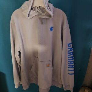 Carhartt Men's Gray Hoodie